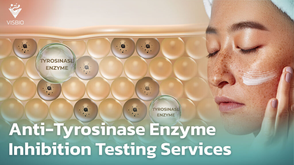 Anti-Tyrosinase Enzyme Inhibition Testing Services