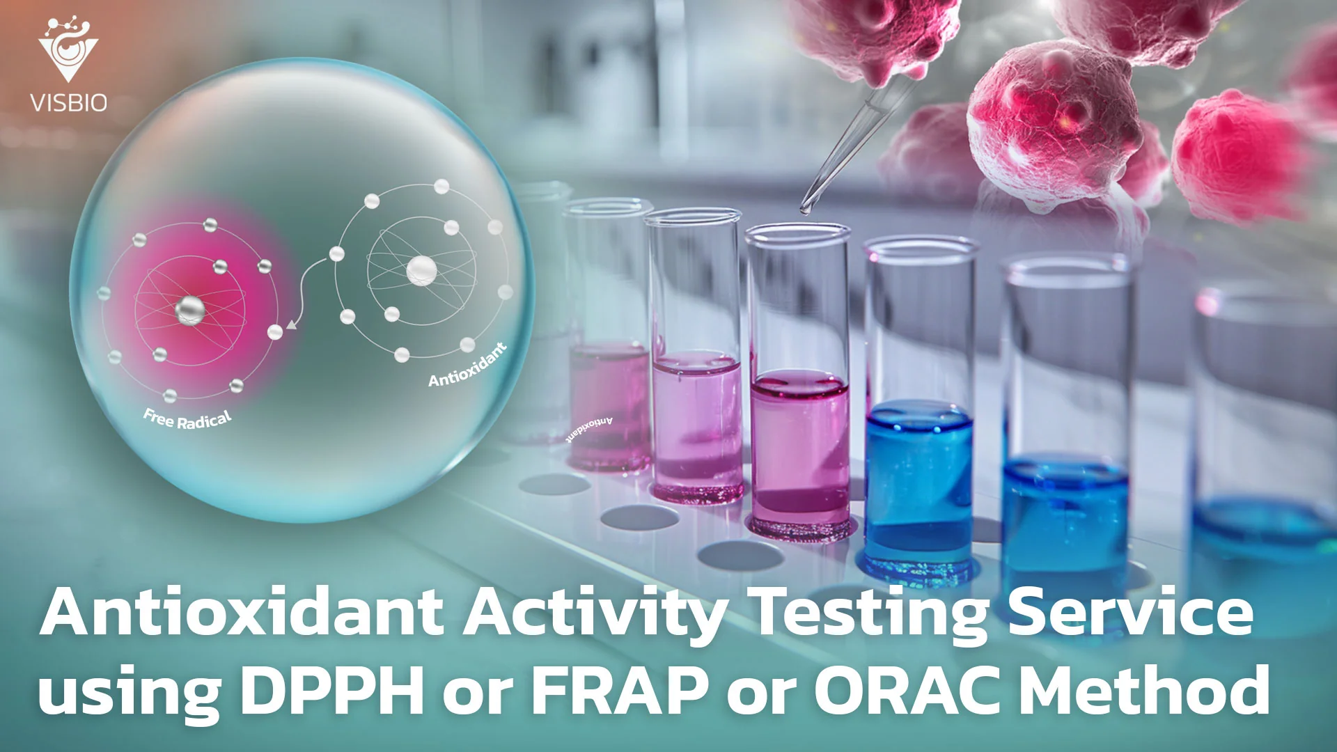 Antioxidant Activity Testing Service using DPPH or FRAP or ORAC Method