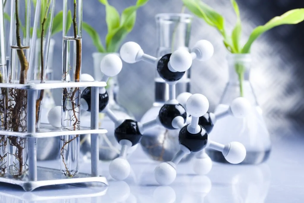 Laboratory Glass