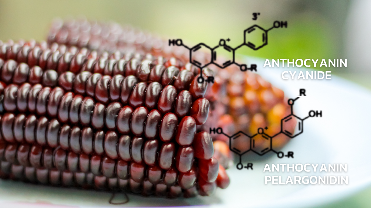 Anthocyanin Quantitative Testing Service Using HPLC