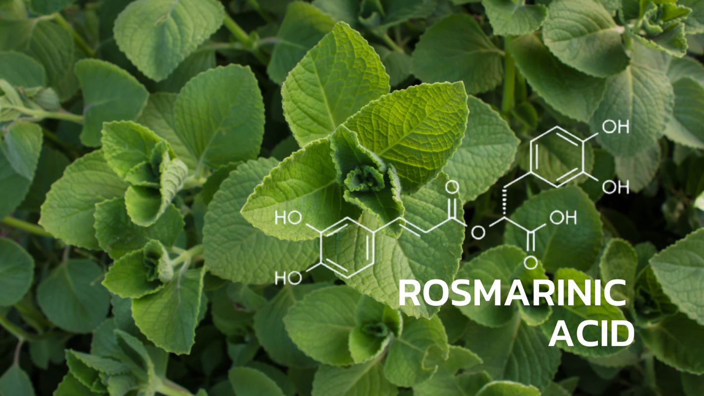 บริการทดสอบปริมาณ Biomarkerของกรดโรสมารินิก(Rosmarinic Acid) ด้วยHPLC