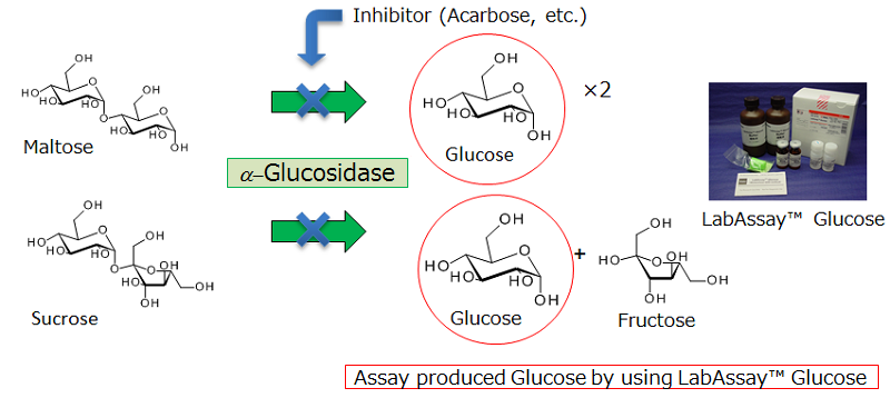 ฤทธิ์ในการยับยั้งการทำงานของเอนไซม์อัลฟา-กลูโคซิเดส (Alpha-glucosidase inhibitory assay)