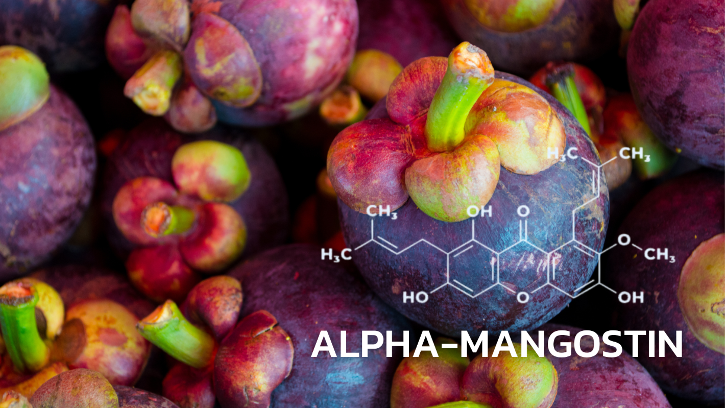 บริการทดสอบปริมาณสารอัลฟาแมงโกสติน (Alpha-mangostein) ในผลิตภัณฑ์