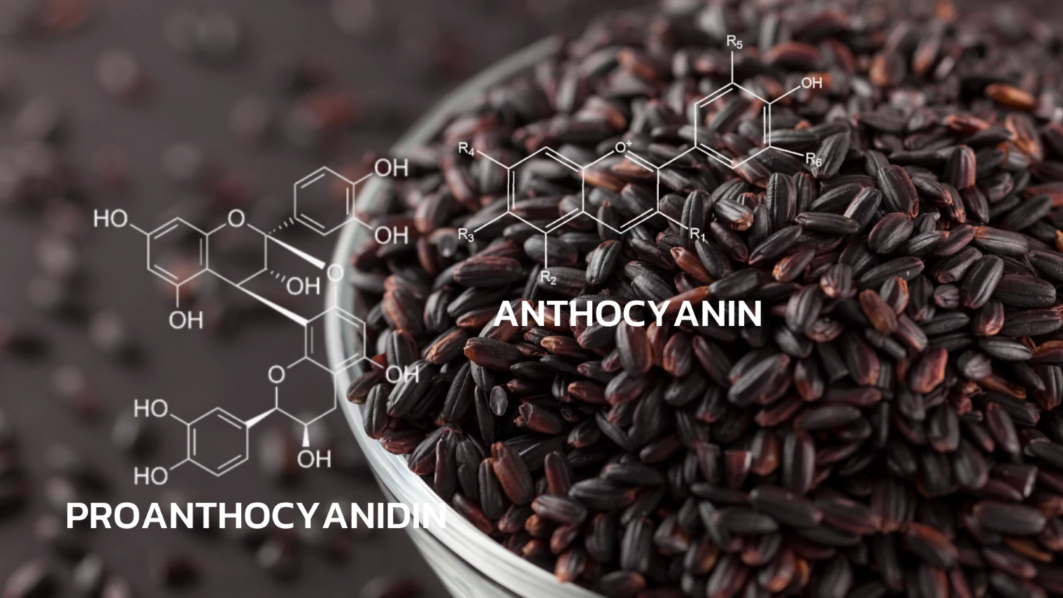 บริการทดสอบปริมาณ ของสารสำคัญ ในข้าวสีนิล (Black Rice) ด้วยเทคนิค HPLC