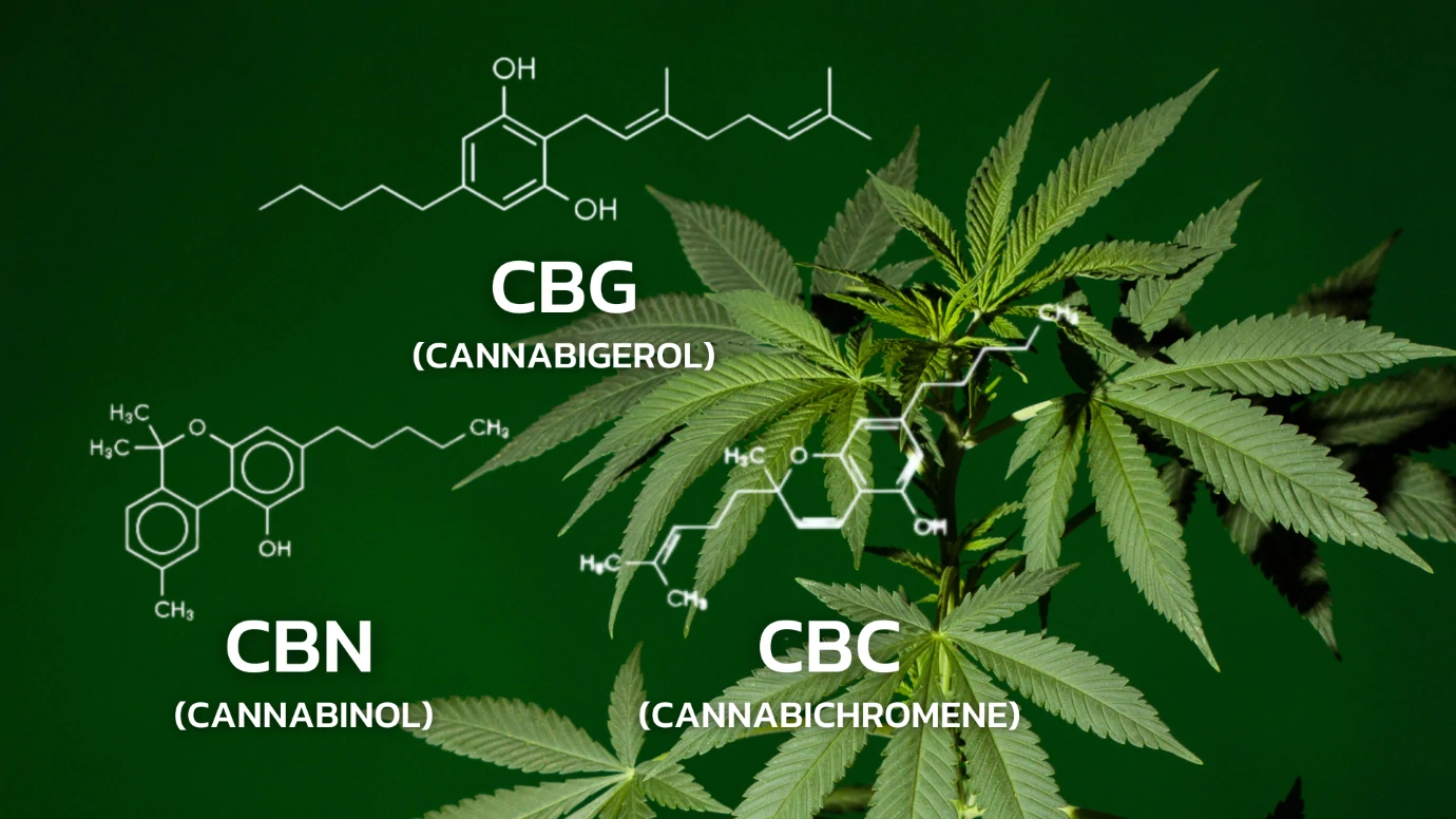 บริการตรวจ Biomarker ของกัญชา เช่น CBN, CBG, CBC, CBGA