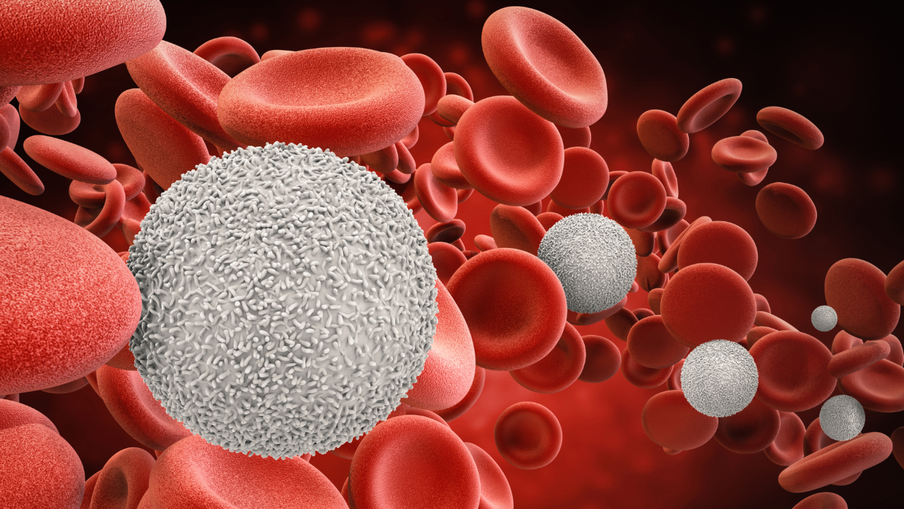 Testing service for the Inhibition Properties of T-cell Leukemia White Blood Cells