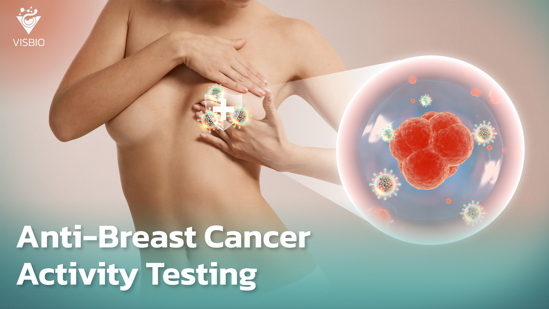 บริการทดสอบฤทธิ์ยับยั้งมะเร็งเต้านมชนิด Anti-Breast Cancer