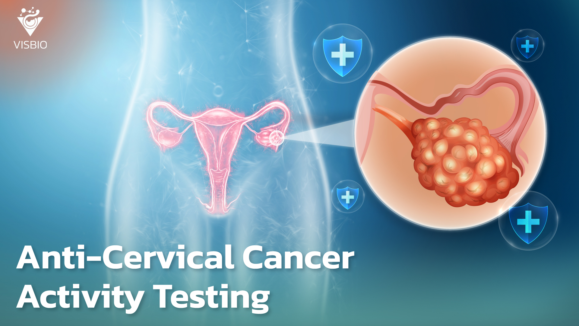 บริการทดสอบฤทธิ์ยับยั้งมะเร็งปากมดลูก Anti-Cervical Cancer