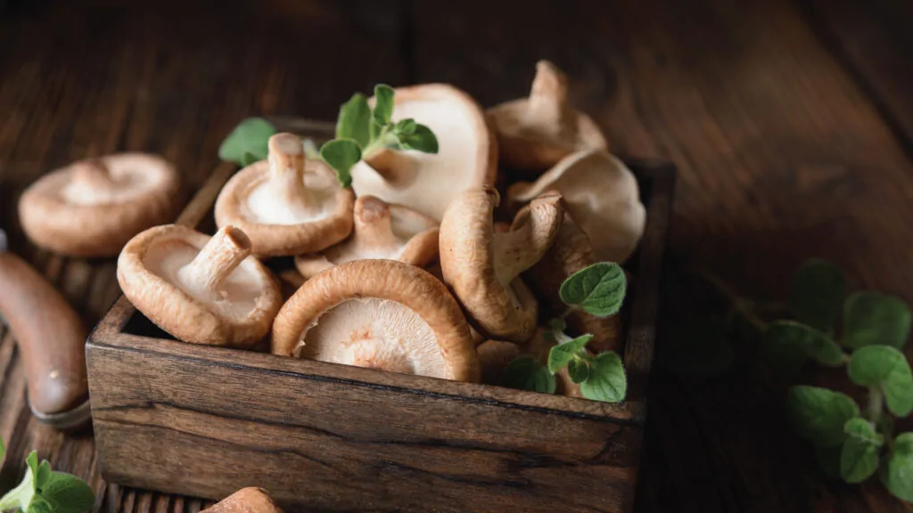 ข้อมูลทางโภชนาการของเห็ดเยื่อไผ่