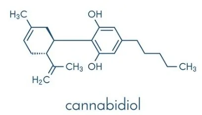 รูปแสดงโครงสร้างของสาร CBD