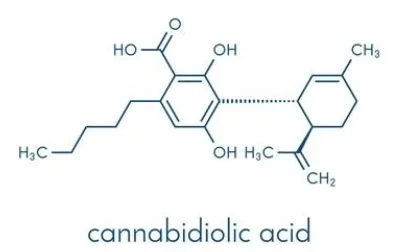 Cannabidiolic acid