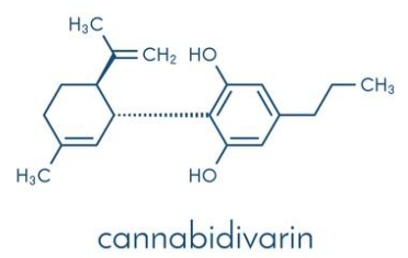Cannabidivarin