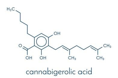 Cannabigerolic acid