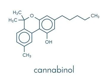 CBN, CBG, CBC, CBGA