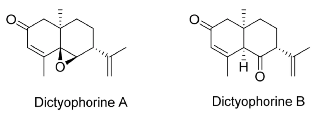 Dictyophorine B
