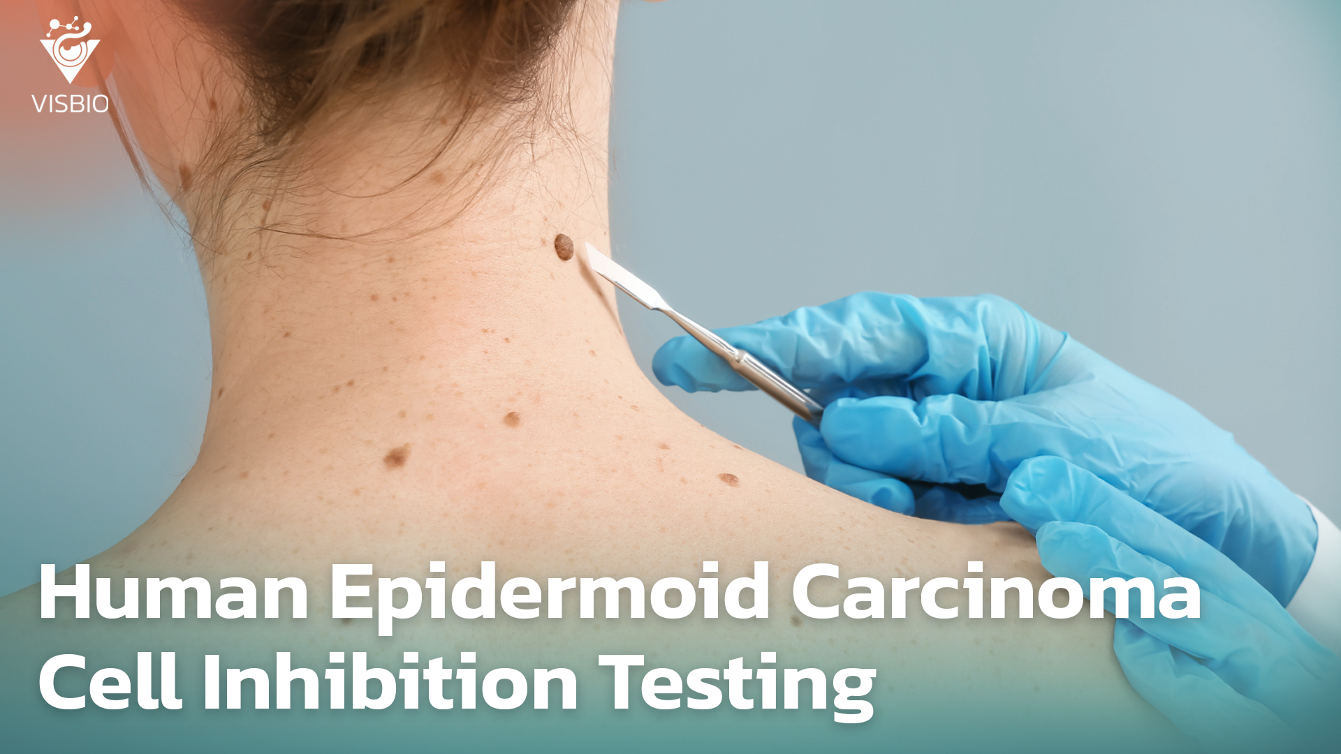 บริการทดสอบฤทธิ์ยับยั้งมะเร็งผิวหนัง Anti-Skin Cancer ชนิด Human epidermoid carcinoma