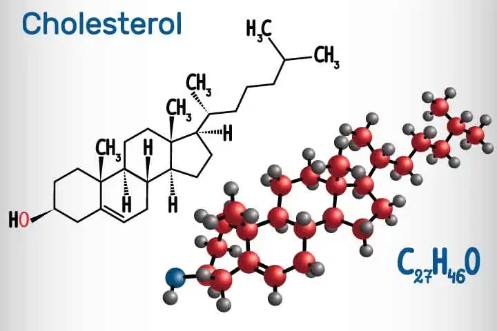 Cholesterol-LDL