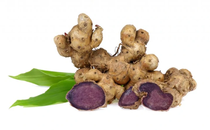 กระชายดำ