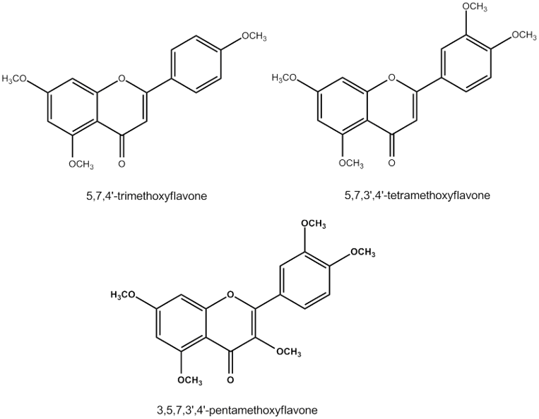 สารสำคัญและโครงสร้างทางเคมีของกระชายดำ