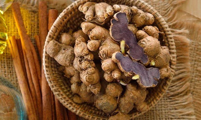 ตำราแพทย์แผนไทยและสรรพคุณของกระชายดำต่อร่างกาย