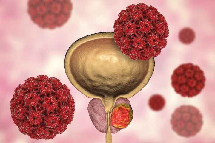 การทดสอบฤทธิ์การยับยั้งเซลล์มะเร็งต่อมลูกหมากชนิด Prostate cancer cells line (PC-3) ด้วยวิธี MTT assay