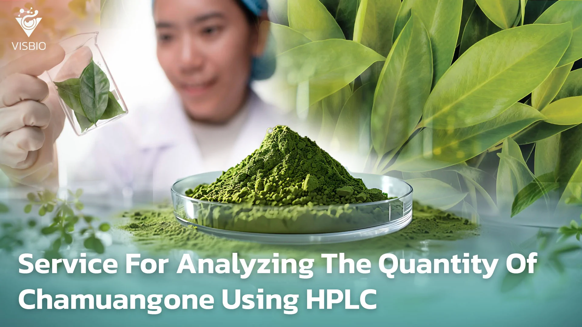 บริการทดสอบปริมาณสารชะมวงโอน(Chamuangone) ด้วย HPLC