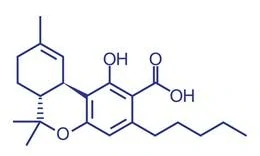 Tetrahydrocannabinolic acid