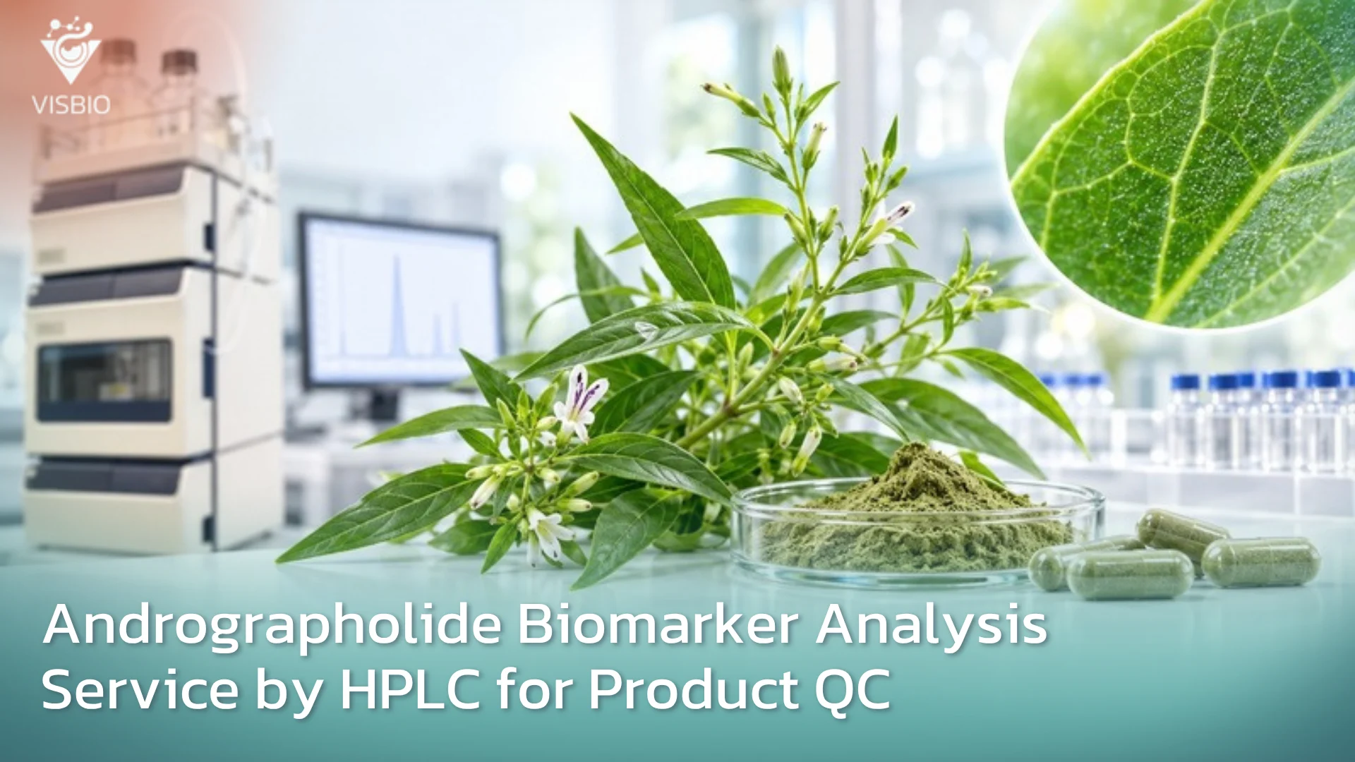 Analyzing The Quantity of Andrographolide Using HPLC Technique