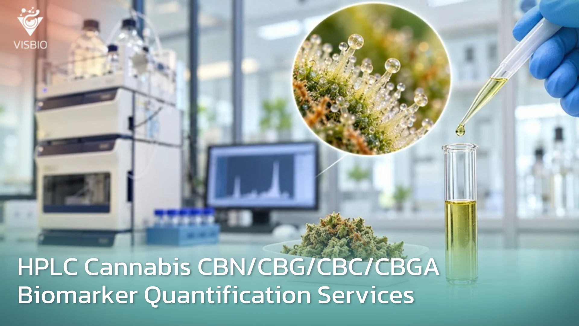 บริการตรวจ Biomarker ของกัญชา เช่น CBN, CBG, CBC, CBGA