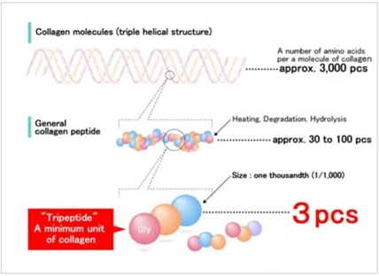 collagen