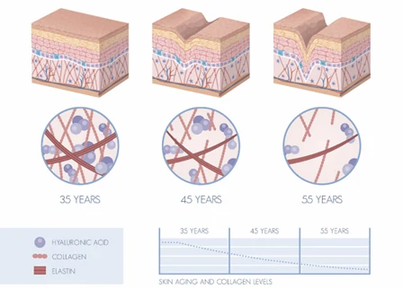 collagen