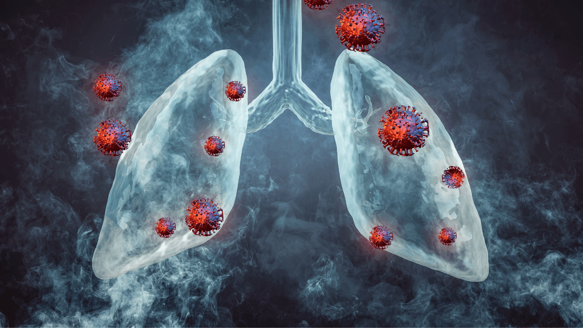 Lung Cancer of Adenocarcinoma cells (A549) Inhibition Activity Testing Service