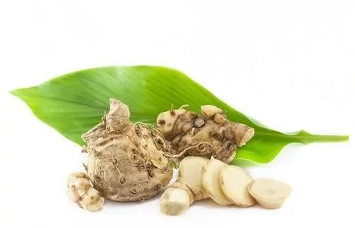Curcuminoid Curcuma Comosa
