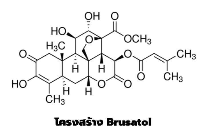 โครงสร้าง-Brusatol