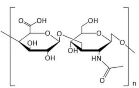 Hyaluronic Acid