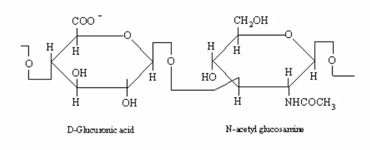 Hyaluronic Acid
