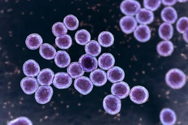 Anti-Microbial Anti-Bacterial