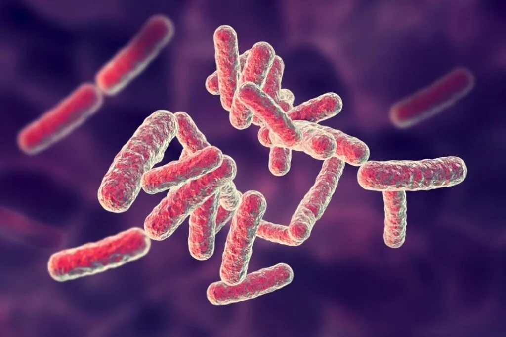 Anti-Microbial Anti-Bacterial