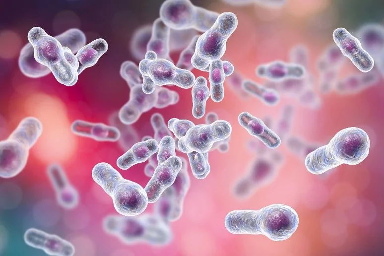 Anti-Microbial Anti-Bacterial