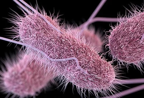 Anti-Microbial Anti-Bacterial