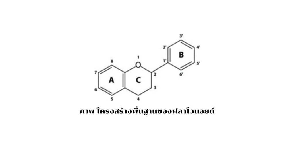 Total Flavonoid Content