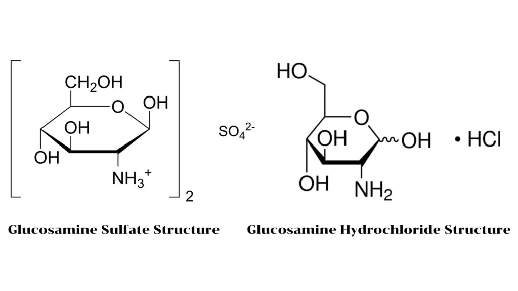 Glucosamine