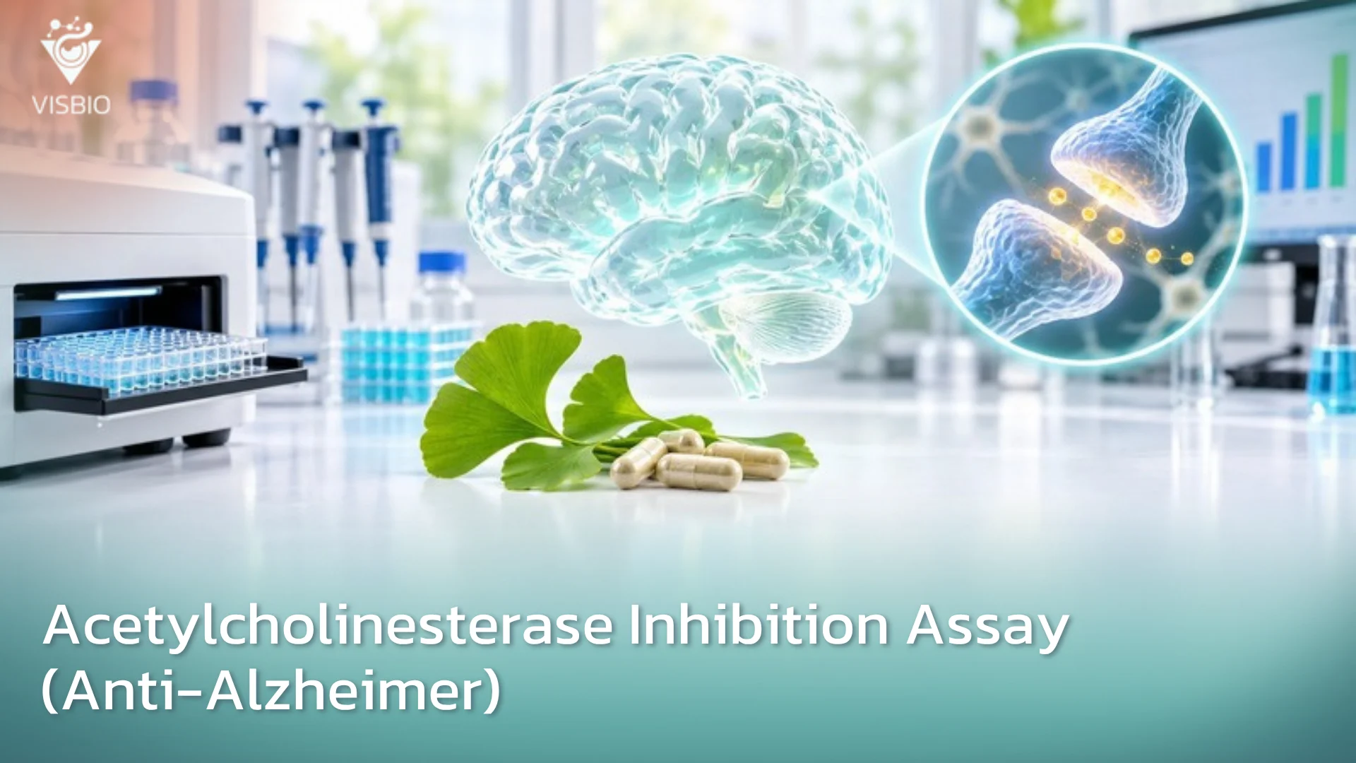 บริการทดสอบฤทธิ์ยับยั้งเอนไซม์ Acetylcholinesterase (Anti-Alzheimer)