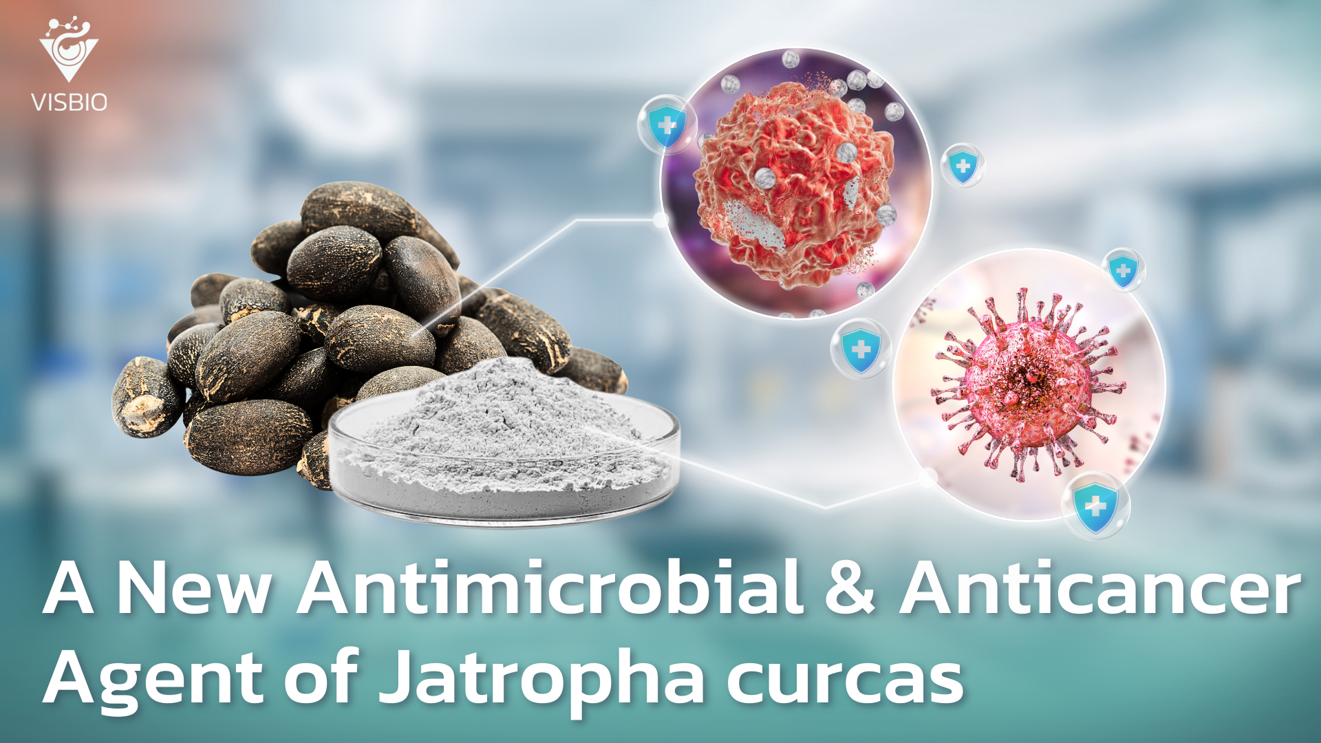 A New Antimicrobial and Anticancer Agent with Endless Potential of Jatropha curcas