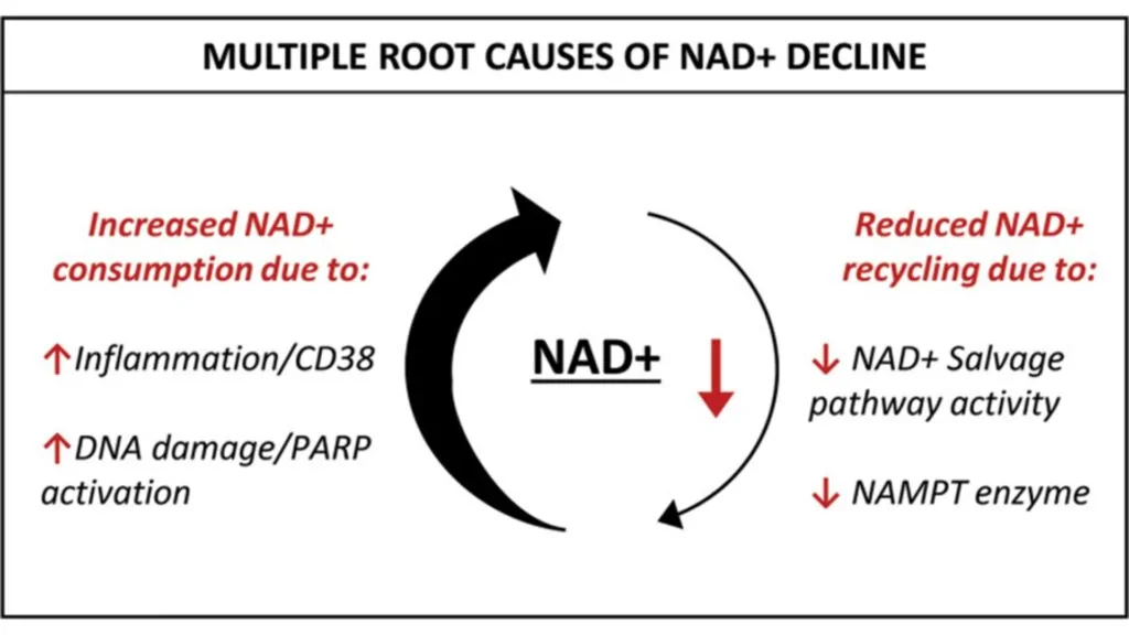 NAD