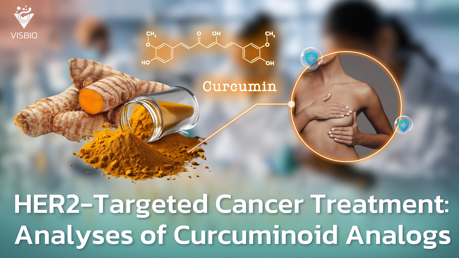 A New Frontier in HER2-Targeted Cancer Treatment: Computational Analyses of Curcuminoid Analogs