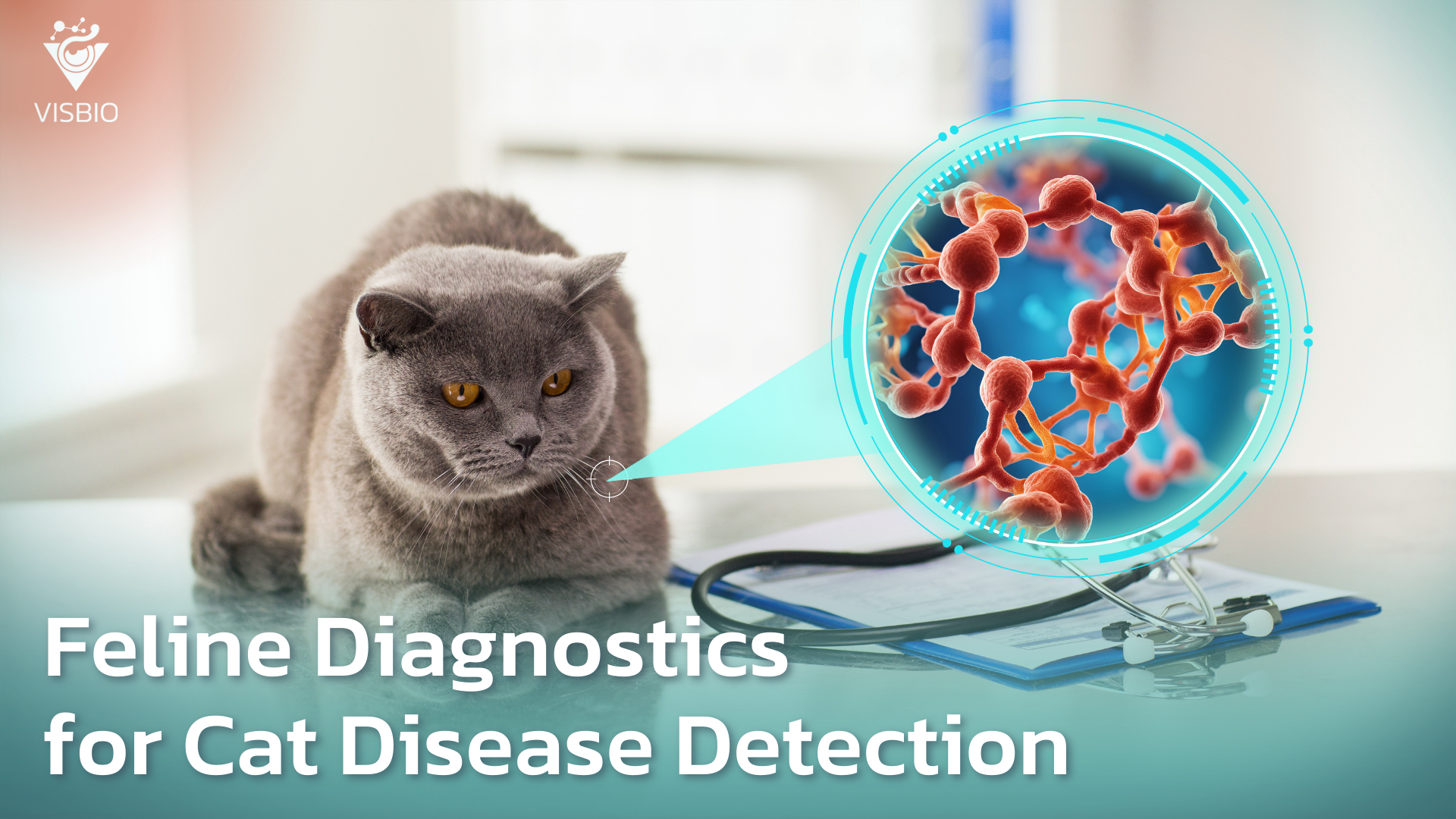 Innovating Veterinary Diagnostics: Single-Chain Antibody Fragments for Feline Disease Detection