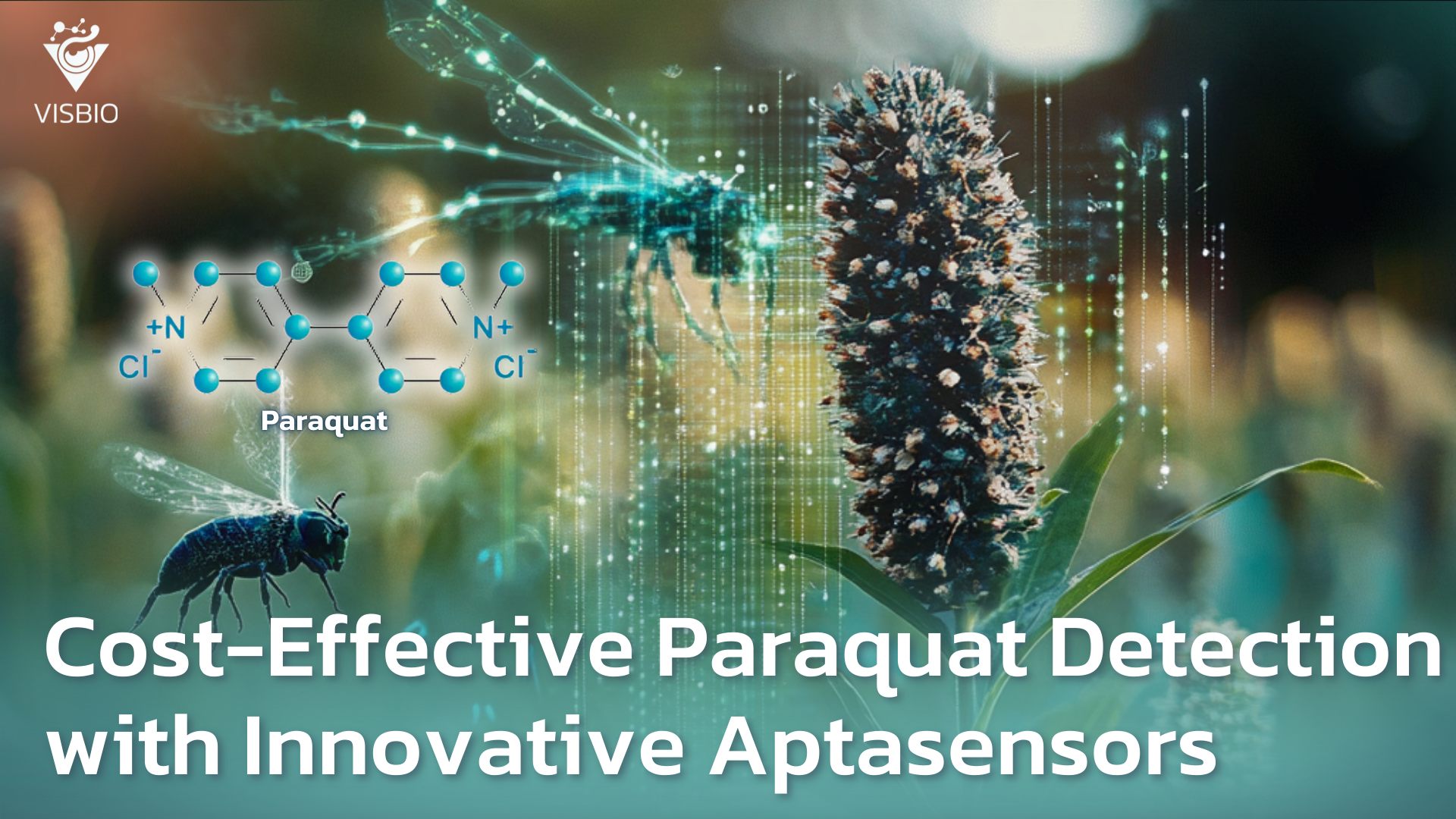 Cost-Effective Paraquat Detection with Innovative Aptasensors