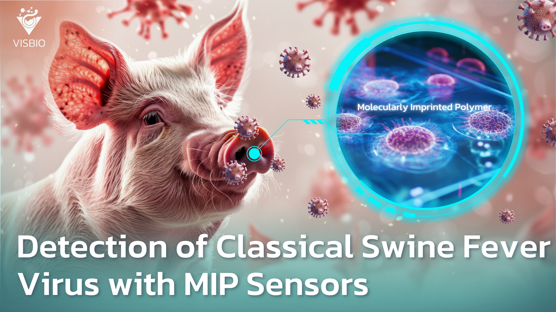 Affordable, Precise Detection of Classical Swine Fever Virus with Molecularly Imprinted Polymer Sensors