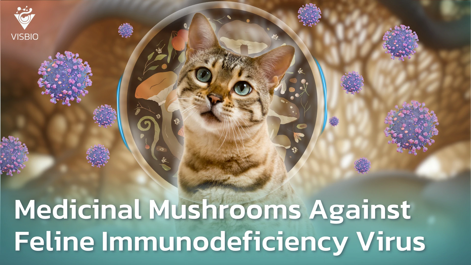 สรรพคุณของเห็ดสมุนไพรในการออกฤทธิ์ต้าน Feline Immunodeficiency Virus (FIV)
